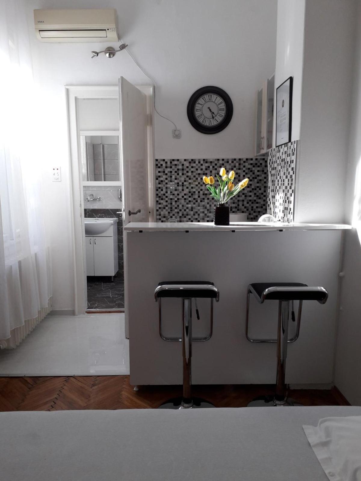 Apartment Dunja Ns Novi Sad Esterno foto