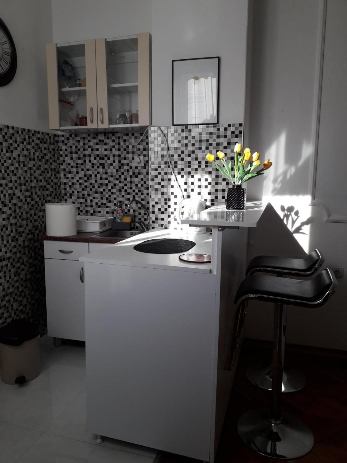 Apartment Dunja Ns Novi Sad Esterno foto