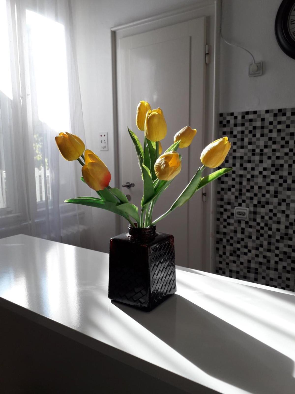 Apartment Dunja Ns Novi Sad Esterno foto