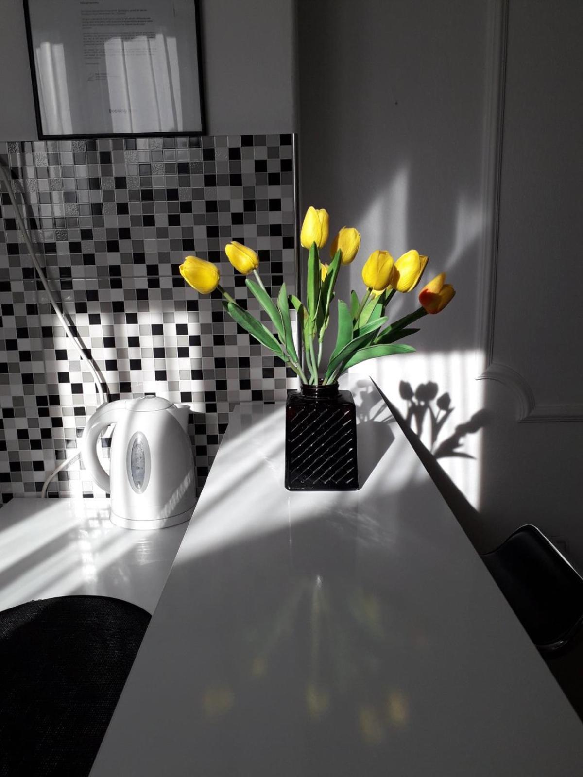 Apartment Dunja Ns Novi Sad Esterno foto